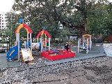 20210829_081603.jpg